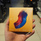 D'addario A310 4/4 Ascente Violin String Set - Senar Biola