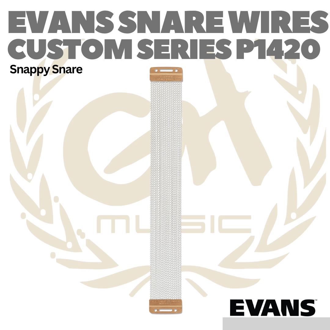 EVANS CUSTOM SERIES 20 Strand Snare Wire - Snappy Drum
