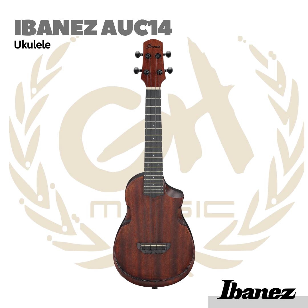Ibanez AUC14 Ukulele w/Gig Bag - Gitar Lele
