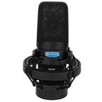 ALCTRON BETA 5 CONDENSER MICROPHONE