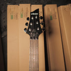 Schecter C6 FR Deluxe Electric Guitar - Gitar Listrik