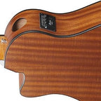 Ibanez AAM54CE Acoustic Electric Guitar - Gitar Akustik