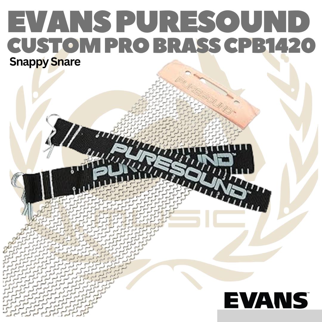 EVANS CUSTOM PRO SERIES 20 Strand Brass Snare Wire - Snappy Drum