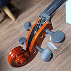 Cavaliers CC18-CP Cello Outfit | 4/4 3/4 1/2 Size