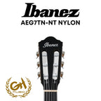 IBANEZ AEG7TN-NT NYLON GITAR AKUSTIK ELEKTRIK CLASSIC